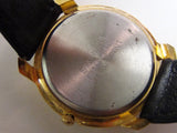Handsome Miyota by Citizen "Caribbean" Men's Gold Quartz Watch w/ Strap