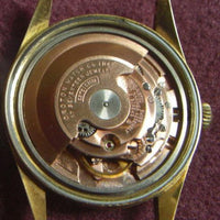 Croton Men's Swiss Gold Antarctic Automatic Watch w/ Lizard